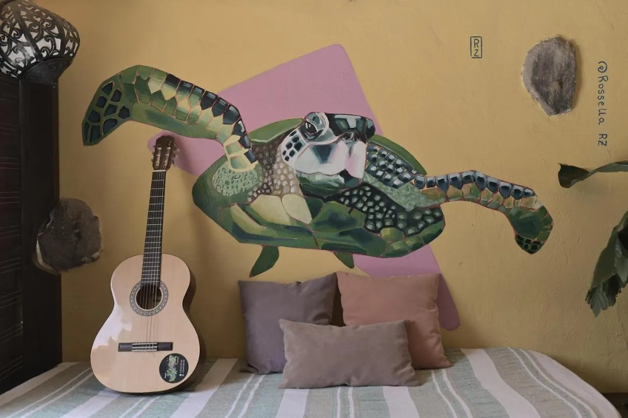 Los Amigos Nest Hostel La Mareta