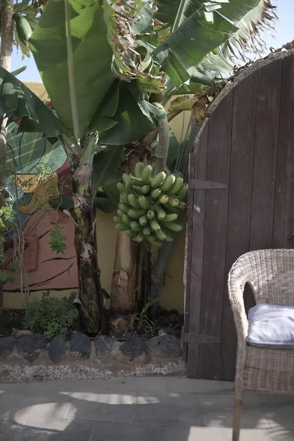 Los Amigos Nest Hostel La Mareta
