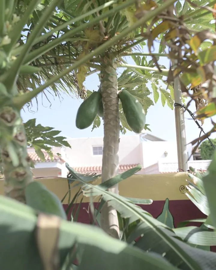 Los Amigos Nest Hostel La Mareta